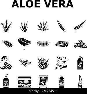 aloe Vera Natur Grüne Pflege Symbole setzen Vektor Stock Vektor