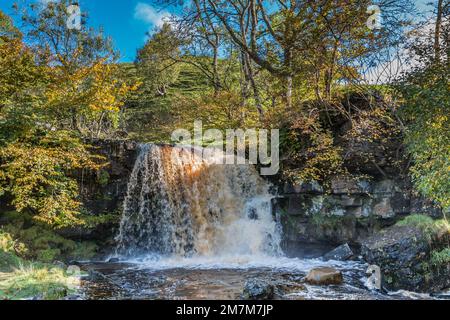 Nach einer nassen Nacht donnert East Gill über diesem Wasserfall in Keld, Swaledale im Yorkshire Dales National Park. Stockfoto