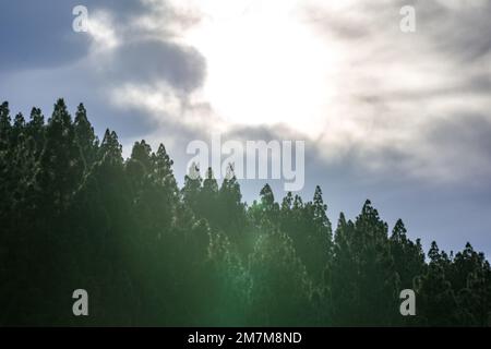 Die Sonne bricht am späten Nachmittag durch blaue Wolken und erzeugt einen neblig-grünen Lichteffekt Stockfoto