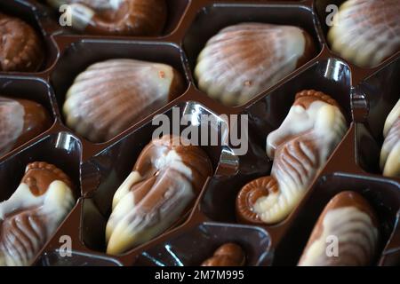 Schokoladenbonbons, Muscheln und andere Meeresbewohner Bestes Geschenk für Mädchen und Frauen. Wunderbares Dessert für jeden Anlass. Wunderschönes Design und toller Tast Stockfoto