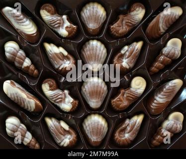 Schokoladenbonbons, Muscheln und andere Meeresbewohner Bestes Geschenk für Mädchen und Frauen. Wunderbares Dessert für jeden Anlass. Wunderschönes Design und toller Tast Stockfoto