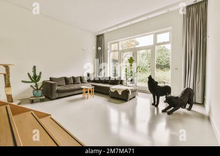 Ein Wohnzimmer mit zwei Sofas und einer Katze, die auf dem Boden vor dem Fenster steht und nach draußen schaut Stockfoto