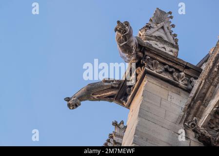 Paris, Frankreich - 27 2022. Dez.: Der gotische Gargoyle auf dem Dach von Saint-Chapelle in Paris Stockfoto