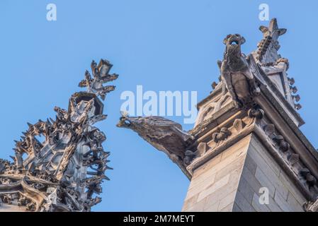 Paris, Frankreich - 27 2022. Dez.: Der gotische Gargoyle auf dem Dach von Saint-Chapelle in Paris Stockfoto