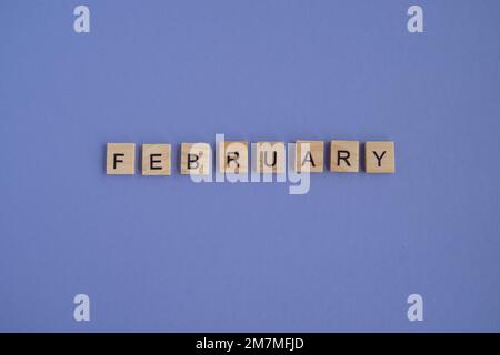 Der zweite Monat des Jahres ist FEBRUAR - aus Buchstaben auf Holzblöcken in natürlicher Farbe, in hoher Auflösung Stockfoto