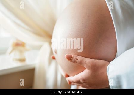 Seitenansicht schwangere Frau mit großem Bauch fortgeschrittene Schwangerschaft in den Händen. Stockfoto