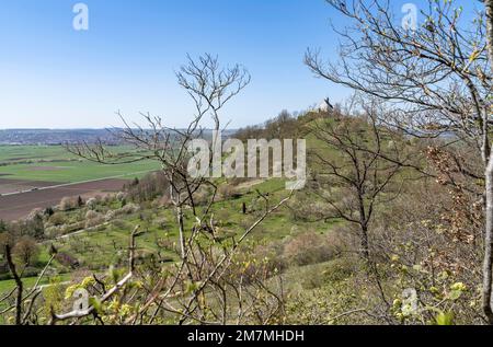 Europa, Deutschland, Süddeutschland, Baden-Württemberg, Region Schönbuch, Rottenburg am Neckar, Blick vom Waldrand auf die Wurmlinger Kapelle Stockfoto