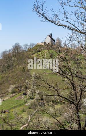 Europa, Deutschland, Süddeutschland, Baden-Württemberg, Region Schönbuch, Rottenburg am Neckar, Blick vom Waldrand bis zur Wurmlinger Kapelle Stockfoto