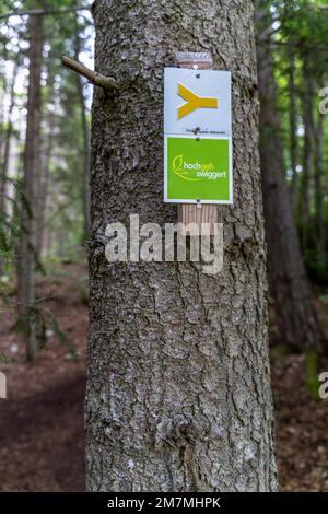 Europa, Deutschland, Süddeutschland, Baden-Württemberg, Schwäbische Alb, Münsingen, Wegweiser auf dem Premium-Wanderweg hochgehswiggert auf einem Baum Stockfoto