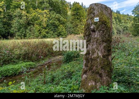 Europa, Deutschland, Süddeutschland, Baden-Württemberg, Region Schönbuch, Wegmarkierung auf einem Baumstumpf auf einer Wiese Stockfoto