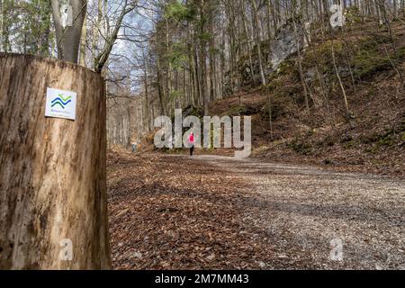 Europa, Deutschland, Süddeutschland, Baden-Württemberg, Donautal, Sigmaringen, Beuron, Mutter und Sohn auf dem Wanderweg Eichfelsen-Panorama im Donautal Stockfoto