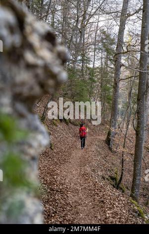 Europa, Deutschland, Süddeutschland, Baden-Württemberg, Donautal, Sigmaringen, Beuron, Frau, die auf einem Waldweg im Donautal läuft Stockfoto