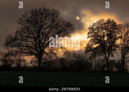 Abendabdruck in Sterley Stockfoto