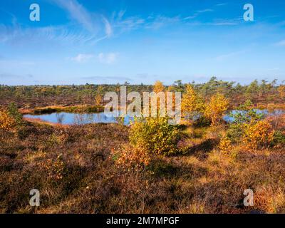 Europa, Deutschland, Bayern, Bayerisches Biosphärenreservat Rhön, Fladungen, Naturschutzgebiet Schwarzes Moor, wichtiger Hochmoor, Moorauge Stockfoto