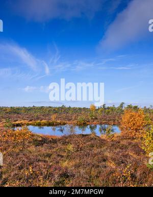 Europa, Deutschland, Bayern, Bayerisches Biosphärenreservat Rhön, Fladungen, Naturschutzgebiet Schwarzes Moor, wichtiger Hochmoor, Moorauge Stockfoto