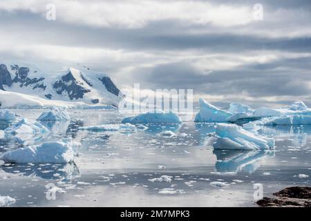 Eisberge im Hafen von Neko, antarktis Stockfoto