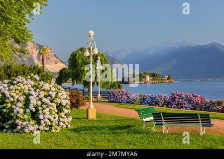 Auf der anderen Seite des Sees mit Blick auf Isola Bella, Borromäische Inseln, Lago Maggiore, Piemont, Italien Stockfoto