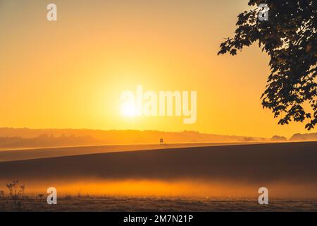 Stimmungsvoller Sonnenaufgang im Stadtteil Kassel, Erdnebel, Blick über das Feld, auf dem ein hoher Sitz steht Stockfoto