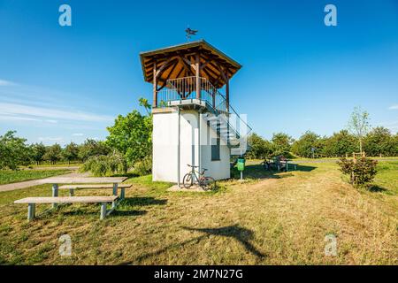 Königstuhl nahe Lörzweiler / Rheinhessen, an diesem Ort wurde das Salian Konrad der Ältere während eines Treffens der Fürsten des Reiches im Jahr 1024 zum Kaiser gewählt. Stockfoto