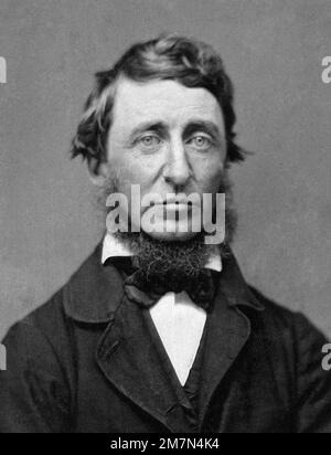 Henry David Thoreau. Porträt des amerikanischen Dichters und Philosophen Henry David Thoreau (1817-1862), 1856 Stockfoto