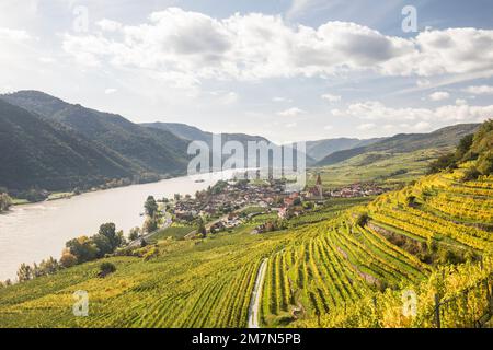 Blick auf Weißenkirchen in der Wachau, Wachau, Waldviertel, Niederösterreich, Österreich Stockfoto