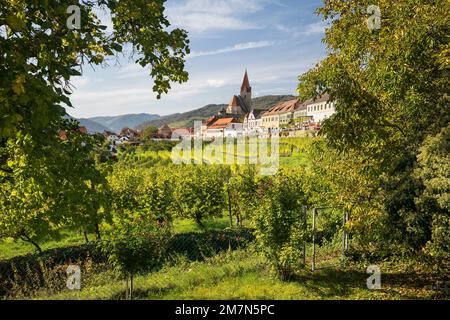 Weißenkirchen in der Wachau, Blick über den Weingarten bis zur Pfarrkirche Wachau, Waldviertel, Niederösterreich, Österreich Stockfoto
