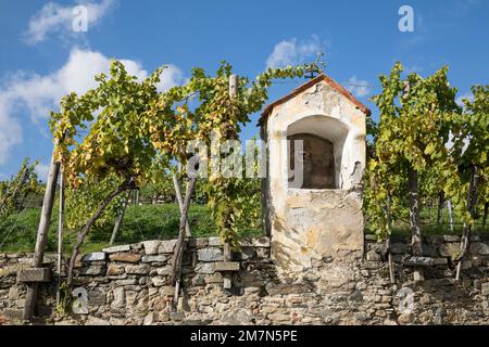 Weinberg in der Nähe von Weißenkirchen in der Wachau, Schrein und Trockenmauer, Wachau, Waldviertel, Niederösterreich, Österreich Stockfoto