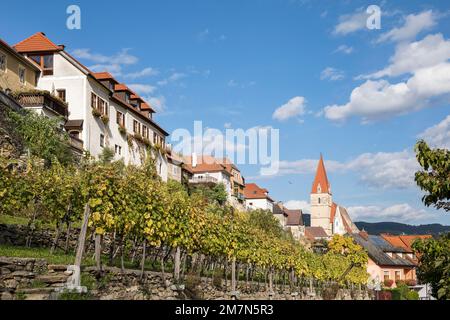 Weißenkirchen in der Wachau, Wachau, Waldviertel, Niederösterreich, Österreich Stockfoto