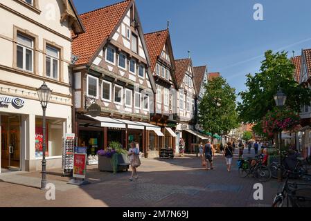 Allee mit Fachwerkhäusern in der Altstadt von Celle, Celle, Lüneburger Heide, Niedersachsen, Deutschland Stockfoto