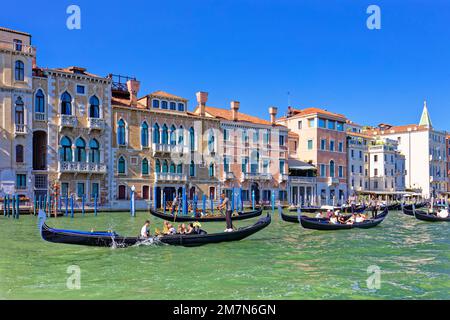 Gondeln führen Touristen an Häusern auf dem Canale Grande in Venedig vorbei Stockfoto