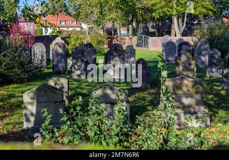 Deutschland, Vreden, Berkel, Westmünsterland, Münsterland, Westfalen, Nordrhein-Westfalen, jüdischer Friedhof, Gräber, Grabsteine, Spätsommer, Herbstatmosphäre Stockfoto