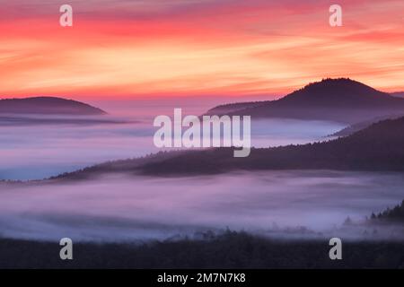 Morgenrot über dem Pfalzwald, Nebel in den Tälern, Naturpark Pfalzwald, Naturschutzgebiet Pfalzwald-Nördliche Vogesen, Deutschland, Rheinland-Pfalz Stockfoto