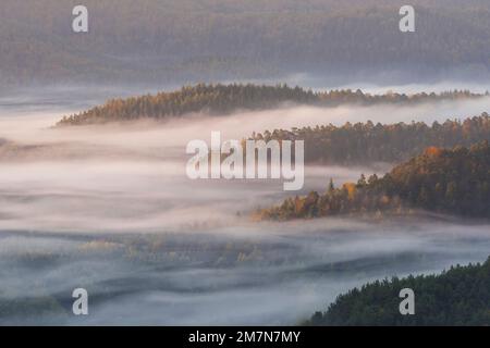 Nebel liegt in den Tälern des Pfalz-Waldes, Morgenlicht, Herbstatmosphäre, Naturpark Pfalz-Wald, Naturschutzgebiet Pfalz-NordVogesen, Deutschland, Rheinland-Pfalz Stockfoto