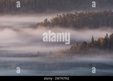 Nebel liegt in den Tälern des Pfalz-Waldes, Morgenlicht, Herbstatmosphäre, Naturpark Pfalz-Wald, Naturschutzgebiet Pfalz-NordVogesen, Deutschland, Rheinland-Pfalz Stockfoto