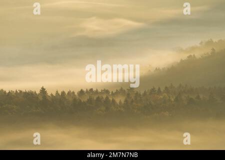 Nebel spielt um Berggipfel und Bäume und leuchtet goldfarben in der Morgensonne, Naturpark Pfälzerwald, Biosphärenreservat Pfälzerwald-Nordvogesen, Deutschland, Rheinland-Pfalz Stockfoto