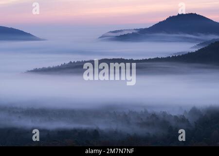 Nebel liegt in den Tälern des Pfalzwaldes, Morgenatmosphäre, Naturpark Pfalzwald, Naturschutzgebiet Pfalzwald-NordVogesen, Deutschland, Rheinland-Pfalz Stockfoto