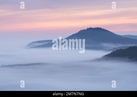 Nebel liegt in den Tälern des Pfalzwaldes, Morgenatmosphäre, Naturpark Pfalzwald, Naturschutzgebiet Pfalzwald-NordVogesen, Deutschland, Rheinland-Pfalz Stockfoto