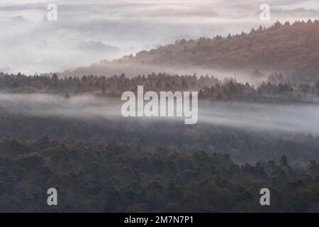 Nebel liegt in den Tälern des Pfalz-Waldes, Morgenlicht, Herbstatmosphäre, Naturpark Pfalz-Wald, Naturwissenschaften Pfalz-Wald-NordVogesen Stockfoto