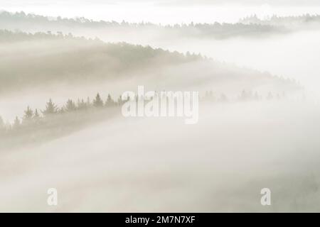 Dichter Nebel liegt über dem Pfalz-Wald, dem Naturpark Pfalz-Wald, dem Biosphärenreservat Pfalz-Wald-NordVogesen, Deutschland, Rheinland-Pfalz Stockfoto