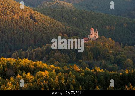 Burg Berwartstein im Abendlicht, Herbstatmosphäre, Erlenbach bei Dahn, Naturpark Pfalzwald, Naturschutzgebiet Pfalzwald-NordVogesen, Deutschland, Rheinland-Pfalz Stockfoto