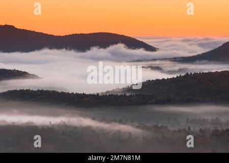 Morgenrot über dem Pfalz, Nebel in den Tälern, Herbstatmosphäre im Naturpark Pfalz-Wald, Pfalz-Wald-Nordvosge Stockfoto