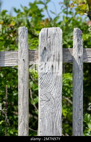 Deutschland, Ostfriesien, Insel Juist, alter Holzzaun. Stockfoto