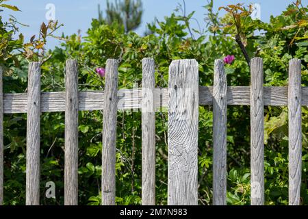 Deutschland, Ostfriesien, Insel Juist, alter Holzzaun. Stockfoto