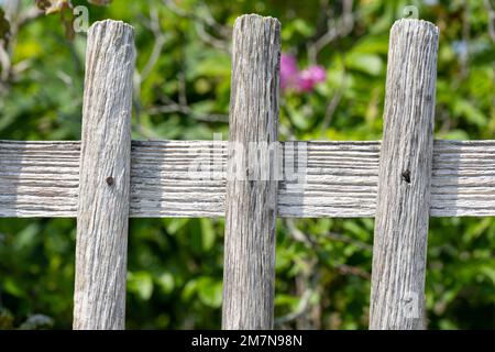 Deutschland, Ostfriesien, Insel Juist, alter Holzzaun. Stockfoto