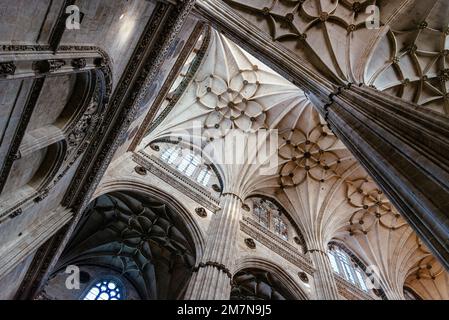 Salamanca, Spanien - 15. Januar 2022: Kathedrale von Salamanca. Innenansicht der Gewölbe Stockfoto