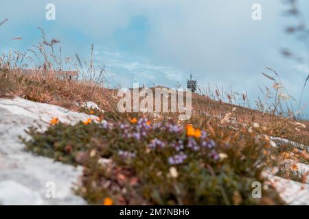 Sendeturm, Chasseral, Berner Jura, Kanton Bern, Schweiz Stockfoto