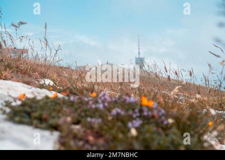 Sendeturm, Chasseral, Berner Jura, Kanton Bern, Schweiz Stockfoto