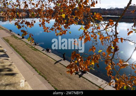 Pont Neuf und die Promenade Henri Martin am Fluss Garonne, Toulouse, Frankreich Stockfoto