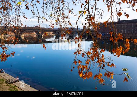 Pont Neuf und die Promenade Henri Martin am Fluss Garonne, Toulouse, Frankreich Stockfoto