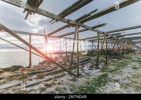 Trockengestell für Fisch aus Holz im Fjord bei Sonnenuntergang, Trockengestell für Kabeljau, Kabeljau, Skandinavien, Norwegen, Lofoten Stockfoto